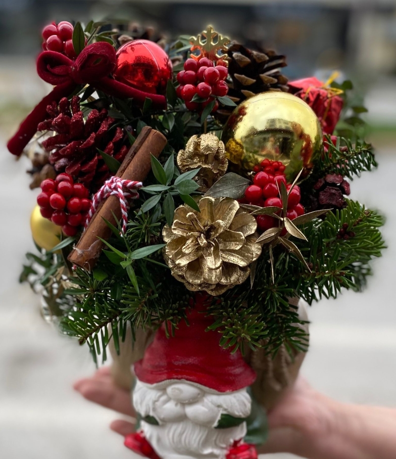 Noel Cüceli Kokina Arajmanı