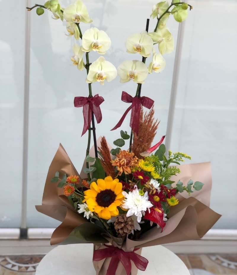 Seramik Saksıda Çiçek Arajmanlı Çift Dal Beyaz Orkide ( İthal )